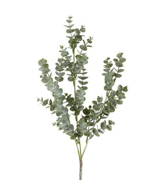 Countryfield # Blad Eucalyptus parviflora groen-8x8x64CM