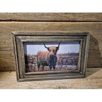# Houten lijst - 20 x 30 cm - afbeelding schotse hooglander 4