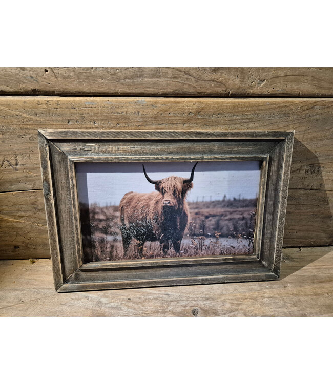 # Houten lijst - 20 x 30 cm - afbeelding schotse hooglander 4