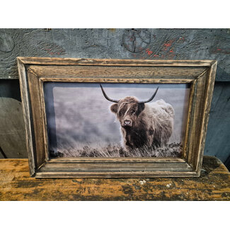 # Houten lijst - 30 x 20 cm - afbeelding schotse hooglander 7