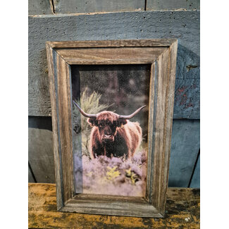 # Houten lijst - 20 x 30 cm - afbeelding schotse hooglander 8