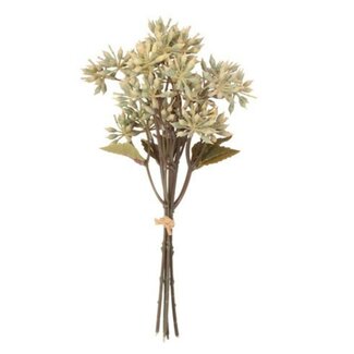 Countryfield # Bundel Eucalyptus crème-13x13x32CM