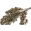 Countryfield # Groen dadeltak - kunst - Bes Trachycarpus groen-22x22x66CM