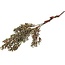 Countryfield # Groen dadeltak - kunst - Bes Trachycarpus groen-22x22x66CM