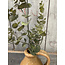 Countryfield # Eucalyptus S groen-L19B19H79CM