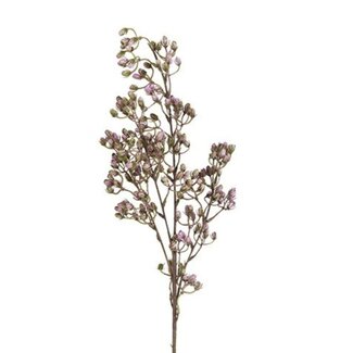 Countryfield # Bloem Conyza paars-14x14x78CM
