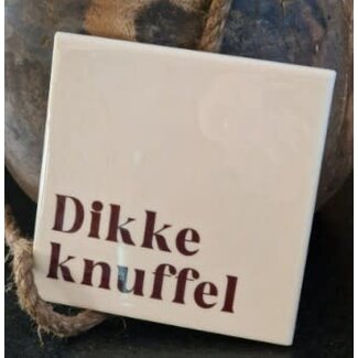 # Tegeltje dikke knuffel - 	10,5x10,5x0,5cm