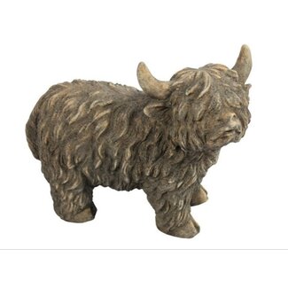 Countryfield Schotse hooglander Yuki S bruin-14x7x12CM