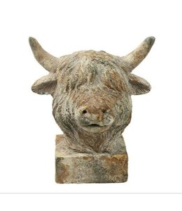 Countryfield @ Schotse hooglander kop Fargo S grijs-19,5x14x23CM