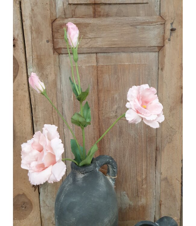 Countryfield # Lisianthus roze-L93,98B13,97H13,97CM