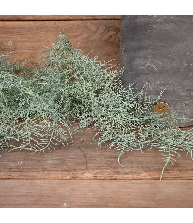 # Asparagus flocked - kunst - 100 cm