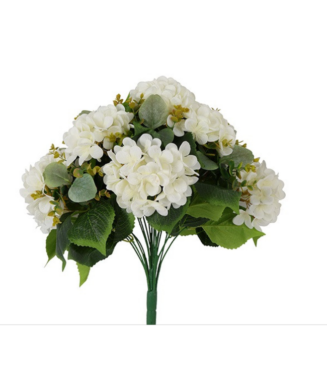 Countryfield # Boeket Hydrangea Sopho x17 wit-25x25x55CM