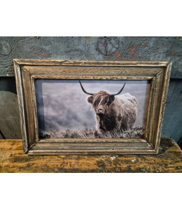 # Houten lijst - 30 x 20 cm - afbeelding schotse hooglander 7