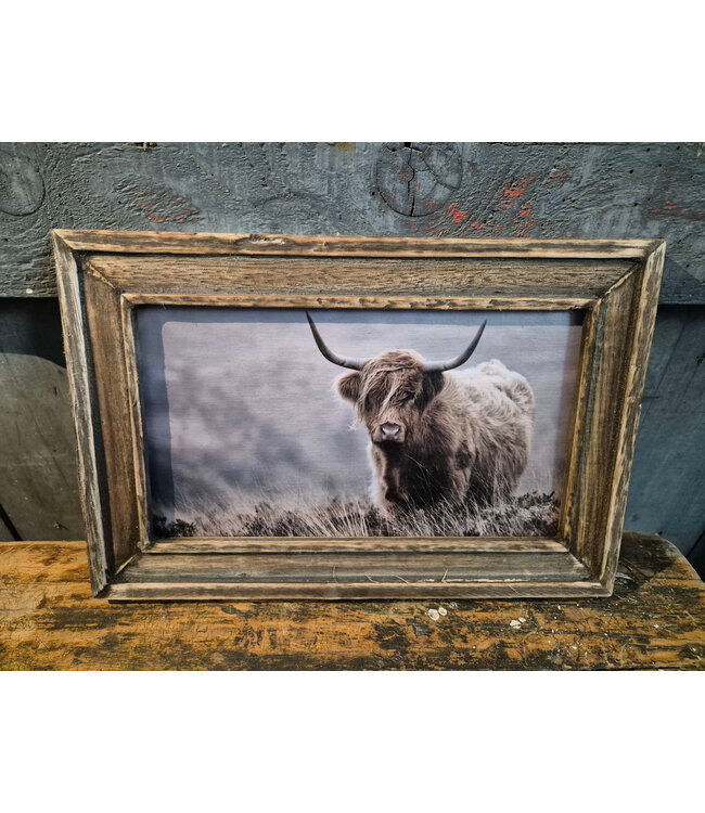 # Houten lijst - 30 x 20 cm - afbeelding schotse hooglander 7