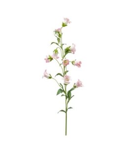 Campanula pink 88 cm