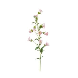 Campanula pink 88 cm