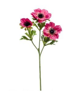 Anemone pink 55 cm