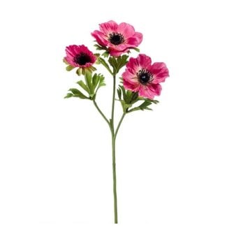 Anemone pink 55 cm