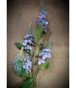 lupine blue 95 cm