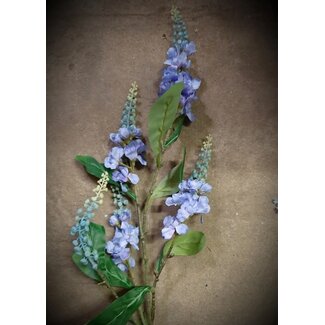 lupine blue 95 cm