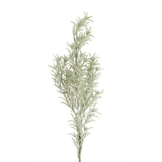 Countryfield Tak Ulex grijs-12x12x78CM