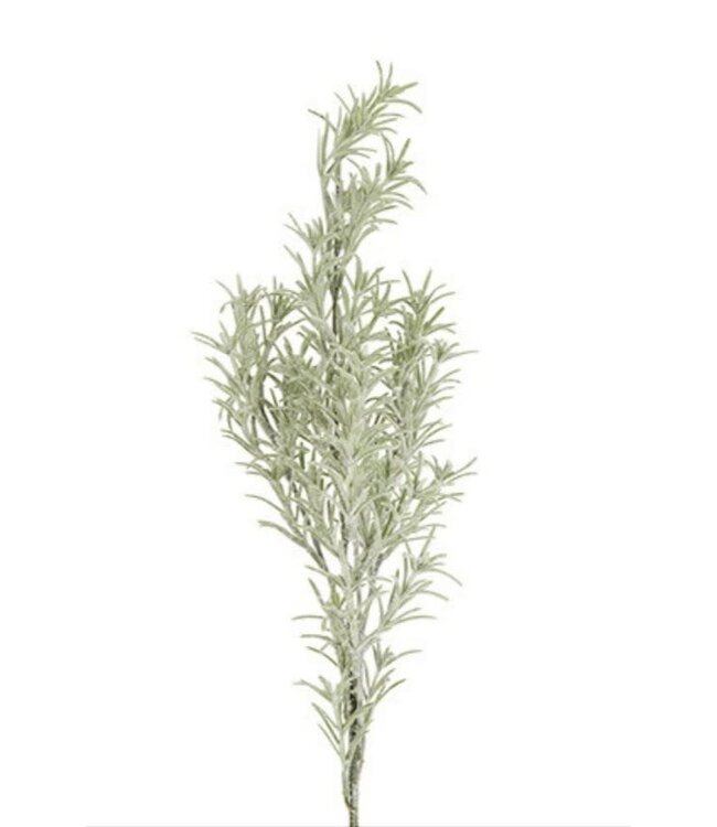 Countryfield Tak Ulex grijs-12x12x78CM