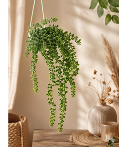 # Erwten plant - 10x5x76cm