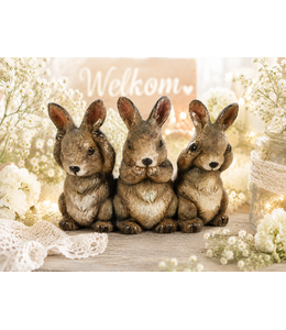 Countryfield # wordt niet verzonden -  Haas horen,ziene,zwijgen Arwin bruin-L16B7H12,5CM