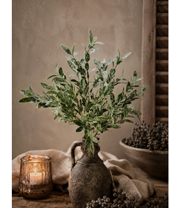 ## LIGUSTRUM BUSH 42 cm