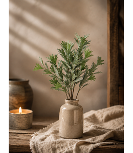 ## SENECIO BUSH GREY 30 cm