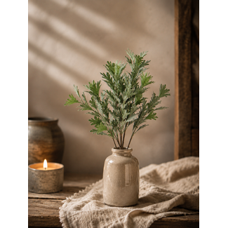 ## SENECIO BUSH GREY 30 cm