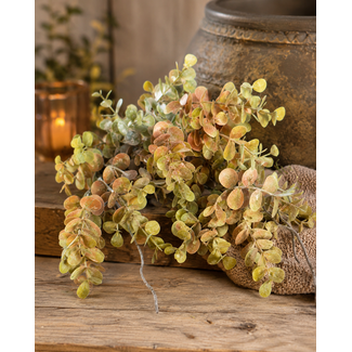 ## Bronzen eucalyptus 55 cm
