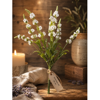 ## lavendula wit - 30 cm