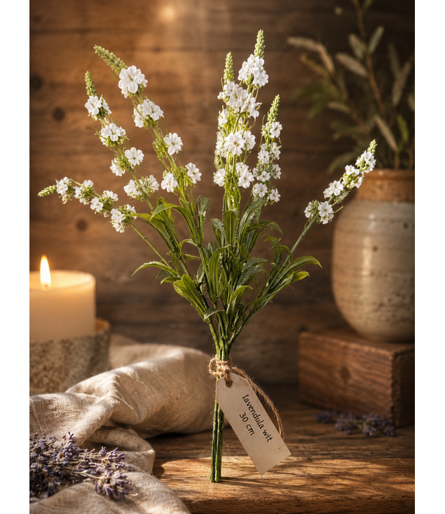 ## lavendula wit - 30 cm