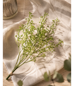 Countryfield ## Kunst bundel Brassica groen-L12B8H52CM