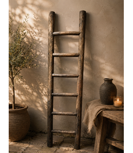 ## wordt niet verzonden - houten decoratieladder XL 50 x 8 x 180