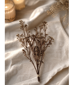 Countryfield Kunst bundel Brassica bruin-L12B8H52CM
