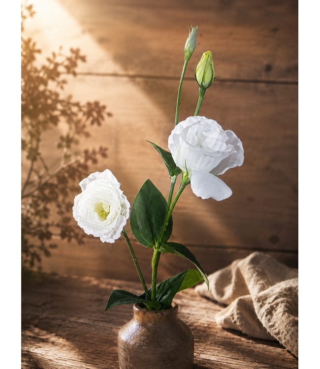 Countryfield Lysianthus wit - 60 cm
