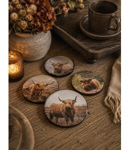 @ 017 - Set van 4 onderzetters plexiglas - Schotse hooglanders - 10 cm