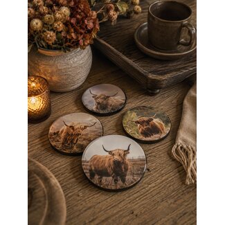 # 017 - Set van 4 onderzetters plexiglas - Schotse hooglanders - 10 cm