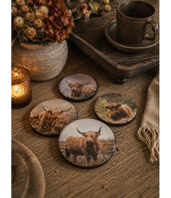 # 017 - Set van 4 onderzetters plexiglas - Schotse hooglanders - 10 cm