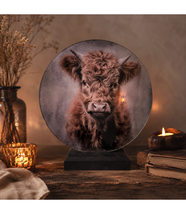 ## wordt niet verzonden - Mix - Glasplaat rond incl houder - 30 x 32 cm - diverse afbeeldingen mogelijk