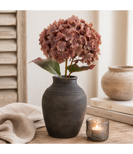 Countryfield # Hydrangea  - hortensia - Aletta L koper-L22B22H70CM