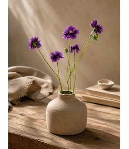 # Centaura purple 64 cm