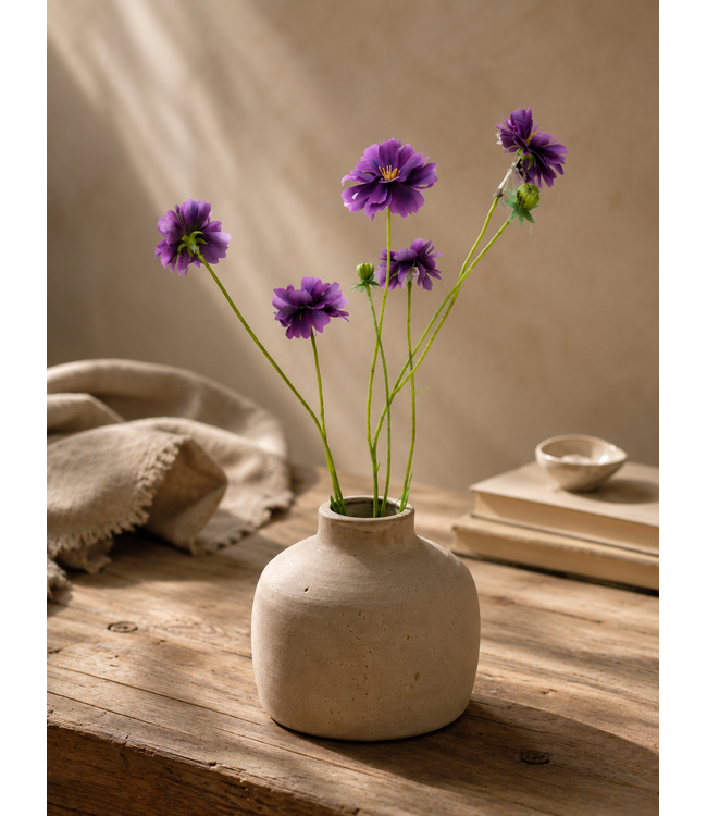 # Centaura purple 64 cm