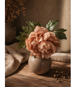 Countryfield Bloem Dahlia miranda bruin-15x15x62CM