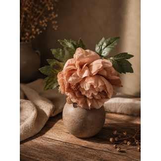 Countryfield Bloem Dahlia miranda bruin-15x15x62CM