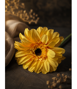 Gerbera 55 cm - geel/oranje