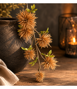 wilde castanea brown