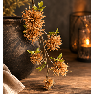 wilde castanea brown